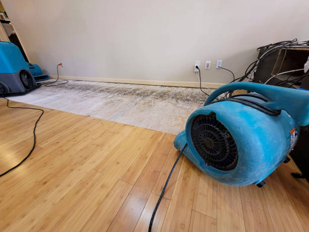 Professional Water Removal technician working in Brownsdale, MN